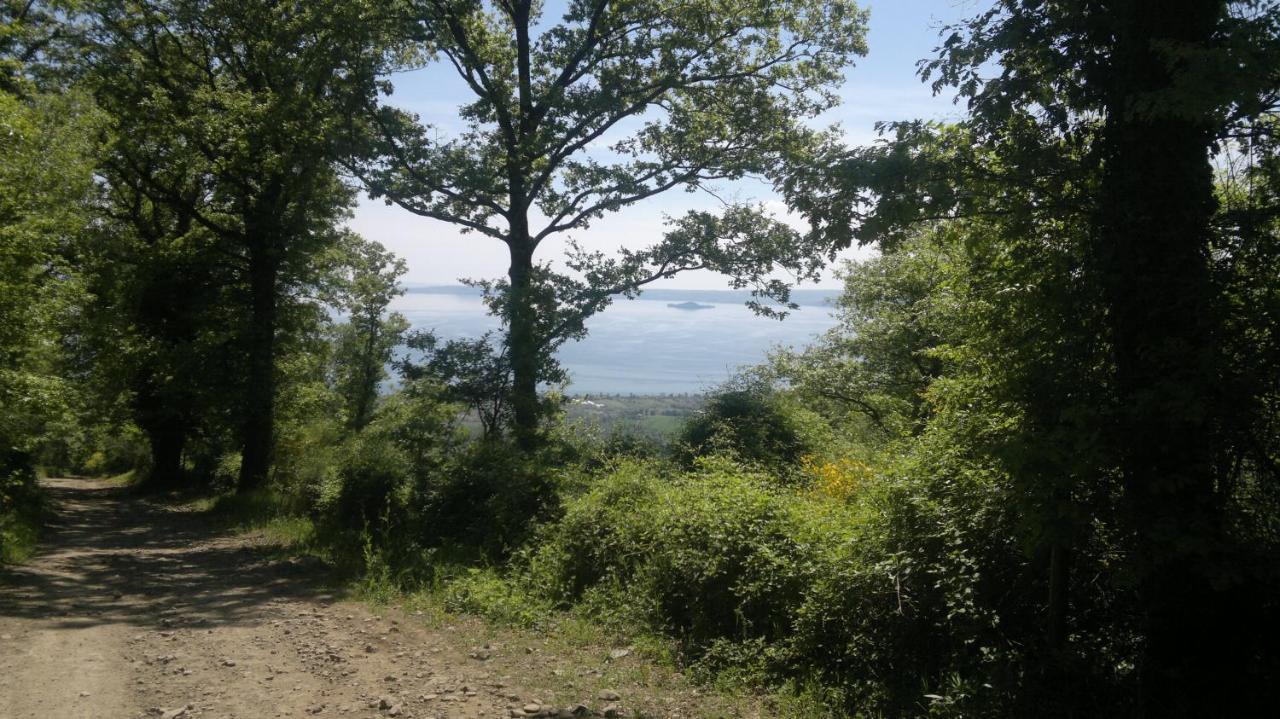 Miralago